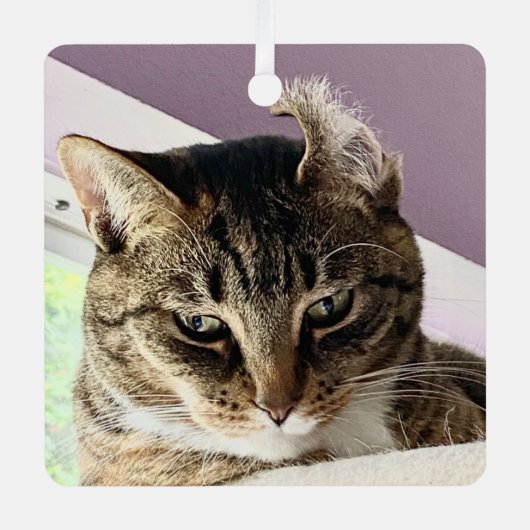 Annie's kerstversiering metalen ornament (Voorkant)