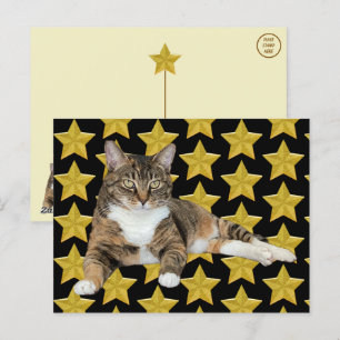 Annie's Star: Cat Briefkaart