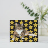 Annie's Star: Cat Briefkaart (Staand voorkant)