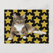Annie's Star: Cat Briefkaart (Voorkant)
