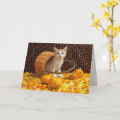 Annie's Sweet Cat/Kitten Halloween Kaart (Gele Bloem)