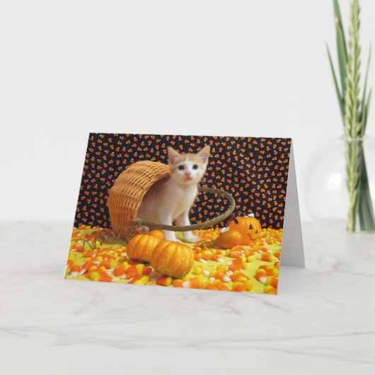 Annie's Sweet Cat/Kitten Halloween Kaart (Voorkant)