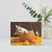 Annie's Sweet Halloween - Cat / Kitten Briefkaart (Staand voorkant)