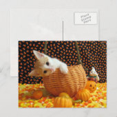 Annie's Sweet Halloween - Cat / Kitten Briefkaart (Voorkant / Achterkant)