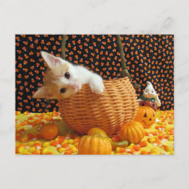Annie's Sweet Halloween - Cat / Kitten Briefkaart