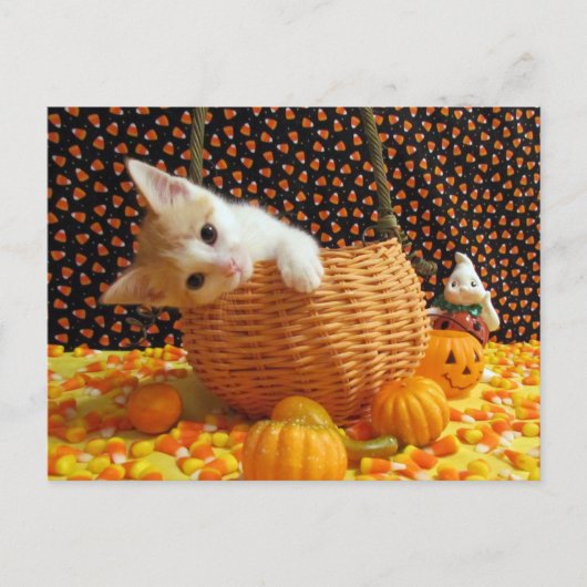 Annie's Sweet Halloween - Cat / Kitten Briefkaart (Voorkant)