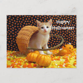 Annie's Sweet Halloween Cat/Kitten Briefkaart