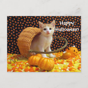 Annie's Sweet Halloween Cat/Kitten Briefkaart