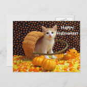 Annie's Sweet Halloween Cat/Kitten Briefkaart (Voorkant / Achterkant)