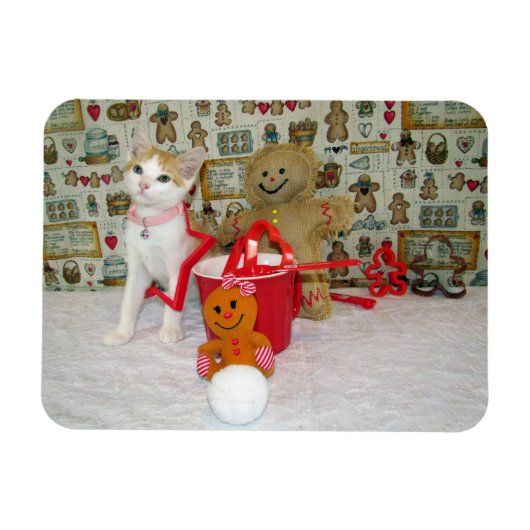 Annie's Sweet Kerstmis - Cat / Kitten Magneet (Horizontaal)