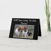 Anniversary Party (Voorkant)