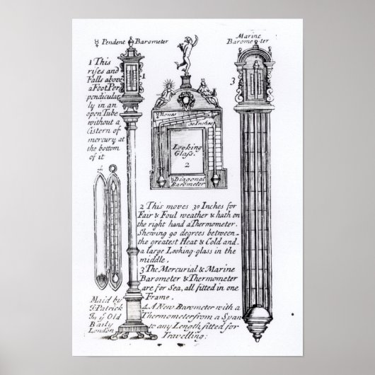 Annotated Illustration of Pendent, Diagonal Poster (Voorkant)