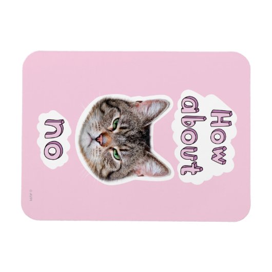 Annoyed Cat Magneet (Horizontaal)