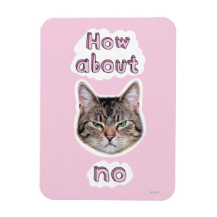 Annoyed Cat Magneet