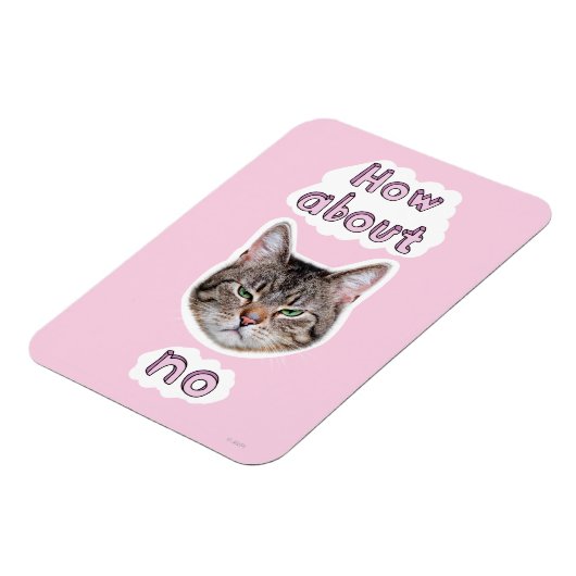 Annoyed Cat Magneet (Linkerzijde)