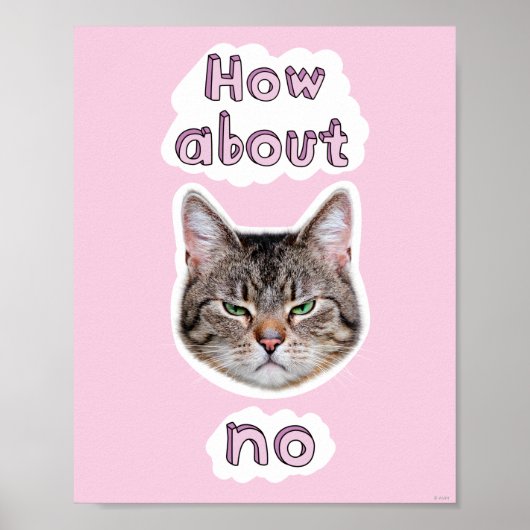 Annoyed Cat Poster (Voorkant)