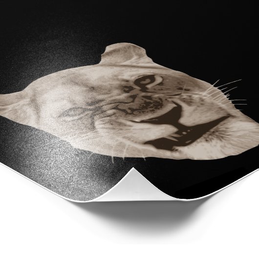 Annoyed Snarling Lion Cat Foto Afdruk (Hoek)