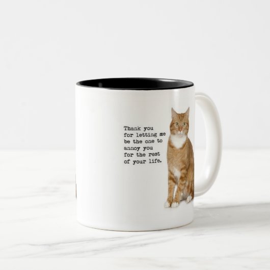 Annoying Cat Mok (Voorkant rechts)
