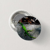 Anole 6704 ronde button 3,2 cm (Voorkant /achterkant)