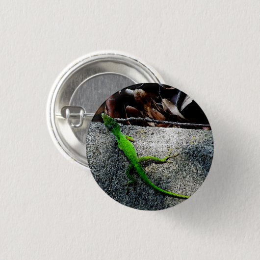 Anole 6704 ronde button 3,2 cm (Voorkant /achterkant)