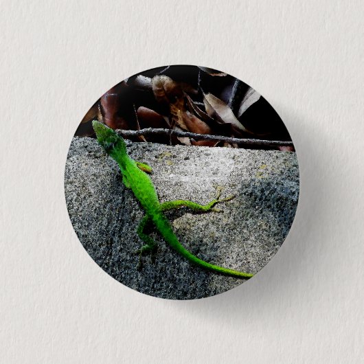 Anole 6704 ronde button 3,2 cm (Voorkant)