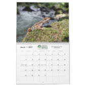 Anole Annals kalender 2021 (Mar 2027)