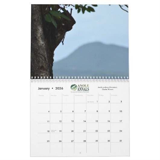 Anole Annals kalender 2021 (Jan 2026)