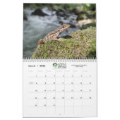 Anole Annals kalender 2021 (Mar 2026)