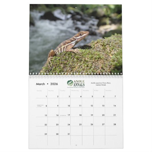 Anole Annals kalender 2021 (Mar 2026)