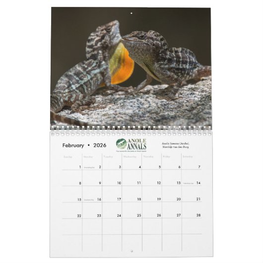 Anole Annals kalender 2021 (Feb 2026)