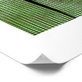 Anole Dual Poster (Hoek)