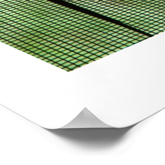 Anole Dual Poster (Hoek)