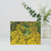 Anole in het Briefkaart Goldenrod (Staand voorkant)
