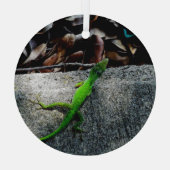 Anole Lizard 6704 Glas Ornament (Achterkant)