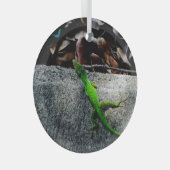 Anole Lizard 6704 Glas Ornament (Voorkant Rechts)