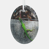 Anole Lizard 6704 Glas Ornament (Voorkant links)
