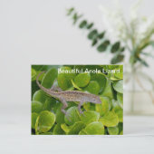 Anole Lizard in Florida Briefkaart (Staand voorkant)