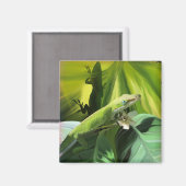 Anole Lizard Magneet (Voorkant / Achterkant)