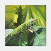 Anole Lizard Magneet (Voorkant)