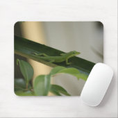 Anole Lizard Muismat (Met muis)