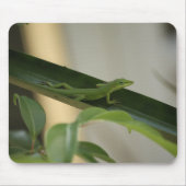 Anole Lizard Muismat (Voorkant)