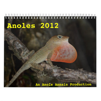 Anolen 2012 kalender