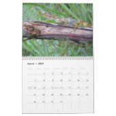 Anolen 2012 kalender (Mar 2027)