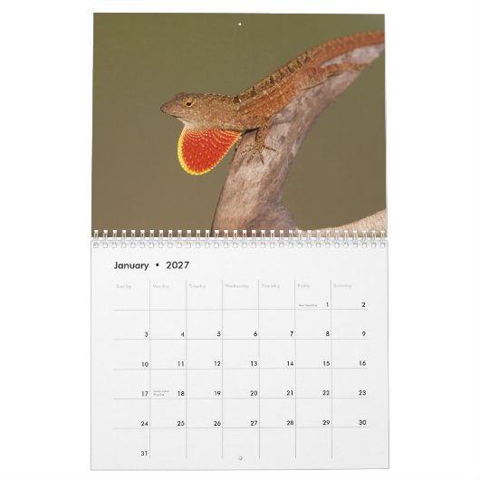 Anolen 2012 kalender (Jan 2027)