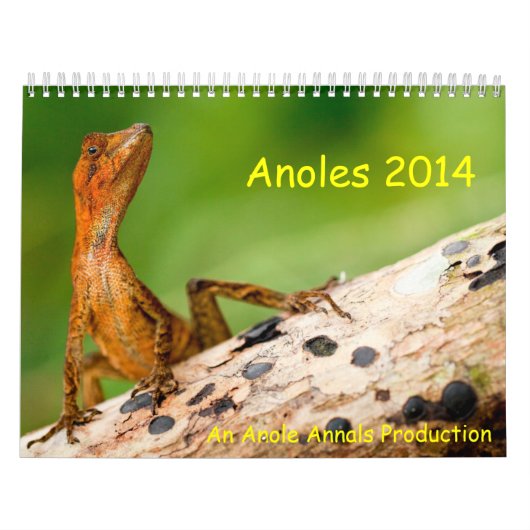 Anolen 2014 kalender (Hoes)