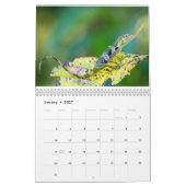 Anolen 2014 kalender (Jan 2027)