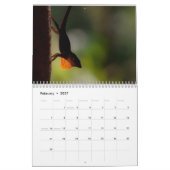 Anolen 2014 kalender (Feb 2027)