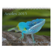 Anoles 2013 Calendar Kalender (Hoes)