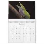 Anoles 2013 Calendar Kalender (Mar 2026)