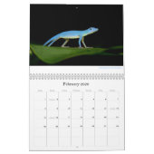 Anoles 2013 Calendar Kalender (Feb 2026)